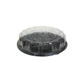 Pactiv 18 in. Smart Lock Caterware Clear Plastic Dome Lid for Food Tray, 50PK P9818  CPC